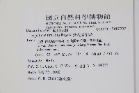 紫花鳳仙花藏品圖，第2張