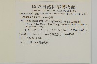 香青藏品圖，第2張