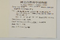 香青藏品圖，第2張