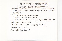 玉山筷子芥藏品圖，第2張