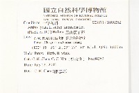 玉山筷子芥藏品圖，第2張