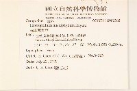 玉山薄雪草藏品圖，第2張