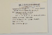 亞毛無心菜藏品圖，第2張