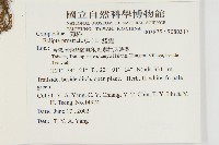 鱧腸藏品圖，第2張