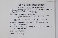 風不動藏品圖，第2張