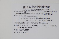 直立半插花藏品圖，第2張