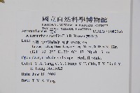 蓮子草藏品圖，第5張