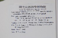 小錦蘭藏品圖，第2張