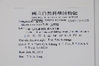 厚殼樹藏品圖，第2張