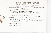 牡蒿藏品圖，第2張