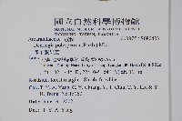 多子漿果莧藏品圖，第2張