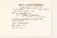 小米菊藏品圖，第2張