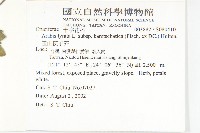 玉山筷子芥藏品圖，第2張