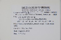 山桔梗藏品圖，第2張