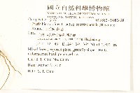 玉山毛蓮菜藏品圖，第2張