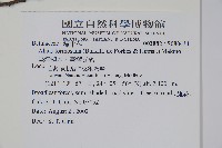 臺灣赤楊、臺灣榿木藏品圖，第2張