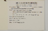 紫花霍香薊藏品圖，第2張