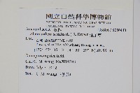 蓮子草藏品圖，第2張