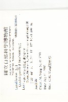 紅瓜藏品圖，第2張