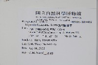 臺灣附地草藏品圖，第2張