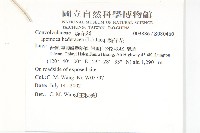 銳葉牽牛藏品圖，第2張