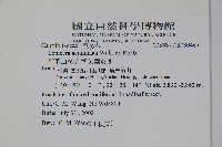 阿里山忍冬、漸尖葉忍冬藏品圖，第2張