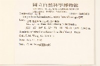 絲綿草藏品圖，第2張