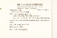 黃菀藏品圖，第2張