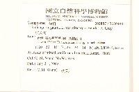 一枝黃花藏品圖，第1張