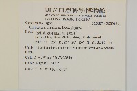 黃金珠藏品圖，第2張