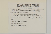 茯苓菜藏品圖，第2張