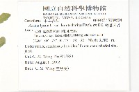 琴葉南芥藏品圖，第2張