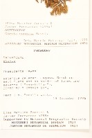 登錄號:S080555藏品圖，第2張