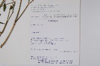 登錄號:S080560藏品圖，第2張