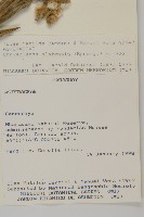 登錄號:S080567藏品圖，第2張