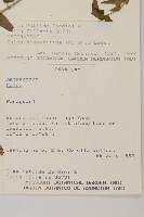 登錄號:S080573藏品圖，第2張