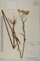 登錄號:S080576藏品圖，第1張