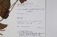 登錄號:S080594藏品圖，第2張