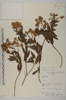 登錄號:S080596藏品圖，第1張