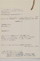 登錄號:S080596藏品圖，第2張