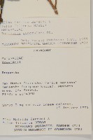 登錄號:S080597藏品圖，第2張