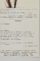 登錄號:S080599藏品圖，第2張