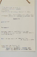 登錄號:S080608藏品圖，第2張