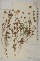 登錄號:S080613藏品圖，第1張