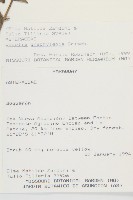 登錄號:S080614藏品圖，第2張