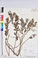 登錄號:S080615藏品圖，第1張