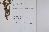 登錄號:S080627藏品圖，第2張