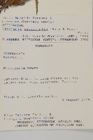 登錄號:S080639藏品圖，第2張