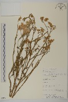 登錄號:S080641藏品圖，第1張