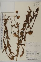 登錄號:S080673藏品圖，第1張